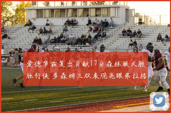 爱德华兹复出贡献17分森林狼大胜独行侠 多森姆三双表现亮眼弗拉格表现出色