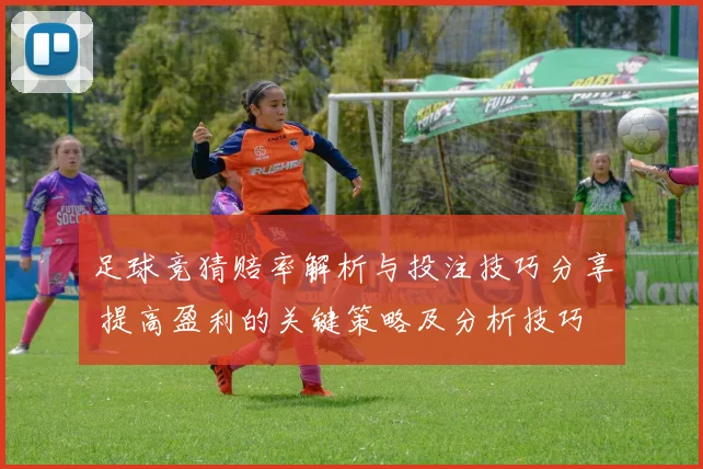 足球竞猜赔率解析与投注技巧分享 提高盈利的关键策略及分析技巧