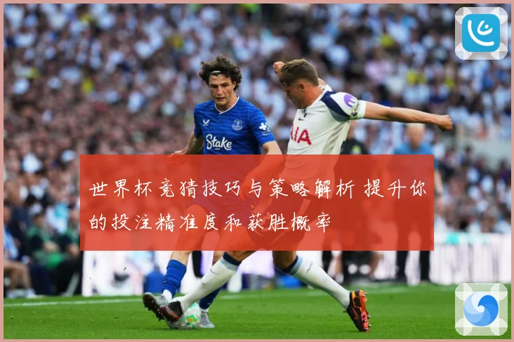 世界杯竞猜技巧与策略解析 提升你的投注精准度和获胜概率