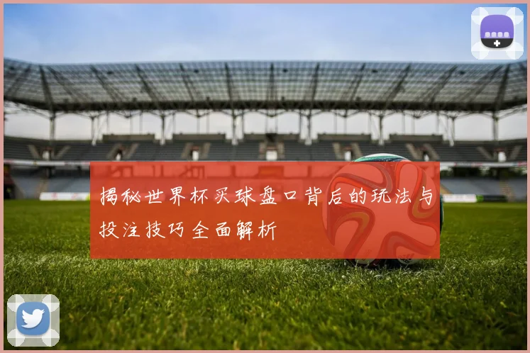 揭秘世界杯买球盘口背后的玩法与投注技巧全面解析