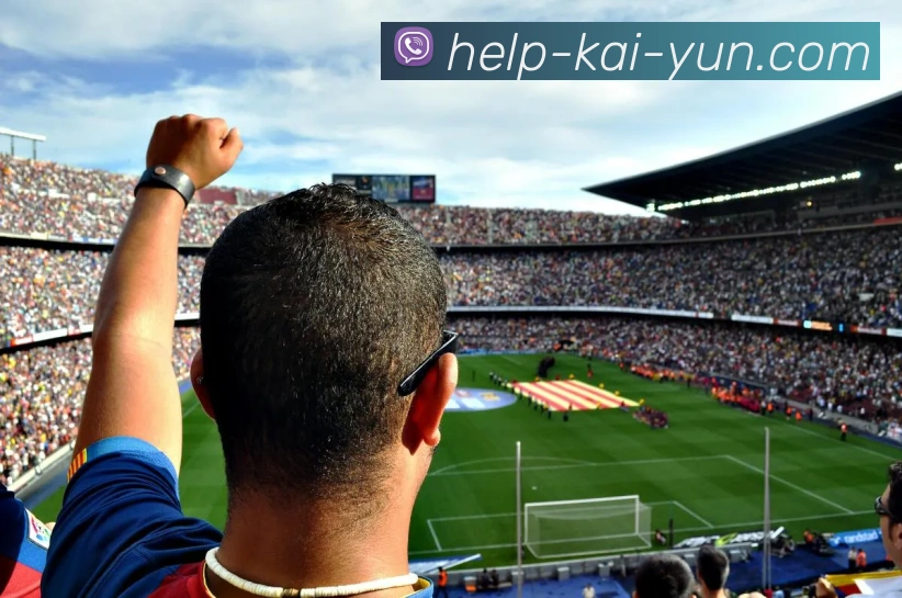 开云官网全站App